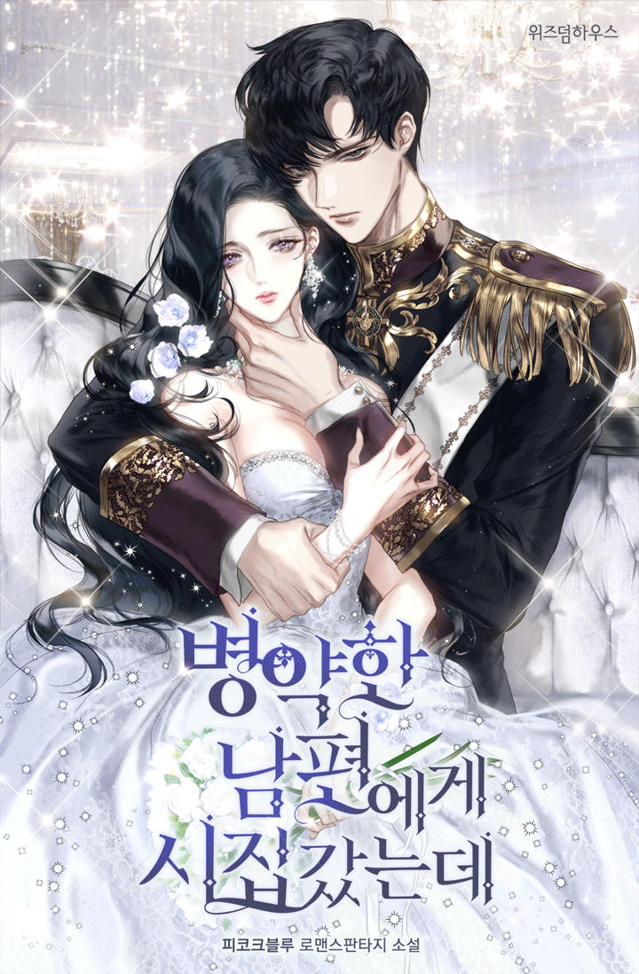 I Married a Sick Husband cover