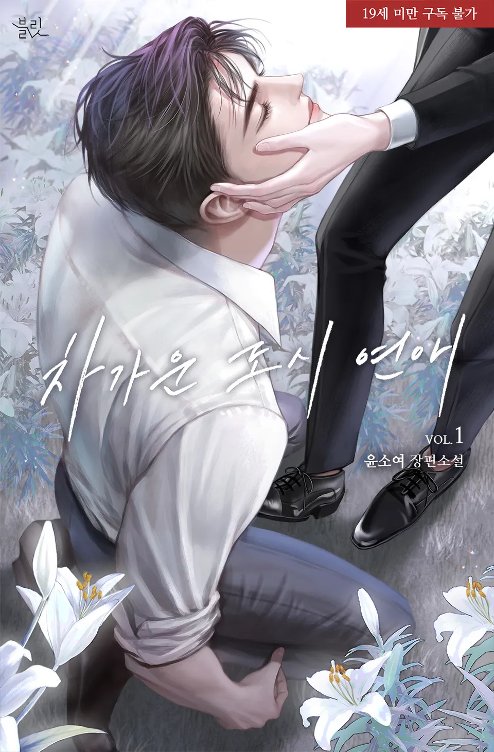 Cold City Romance cover